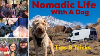 Living &amp; Traveling Full Time with A Dog! Tips &amp; Tricks from Four Nomadic Families