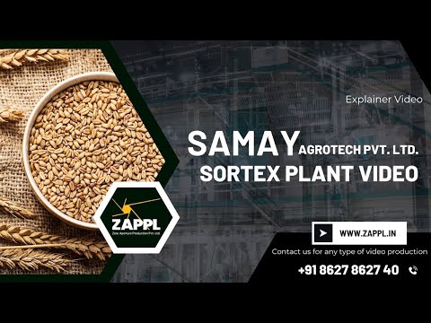 Multi Grain Sorting And Grading Machine