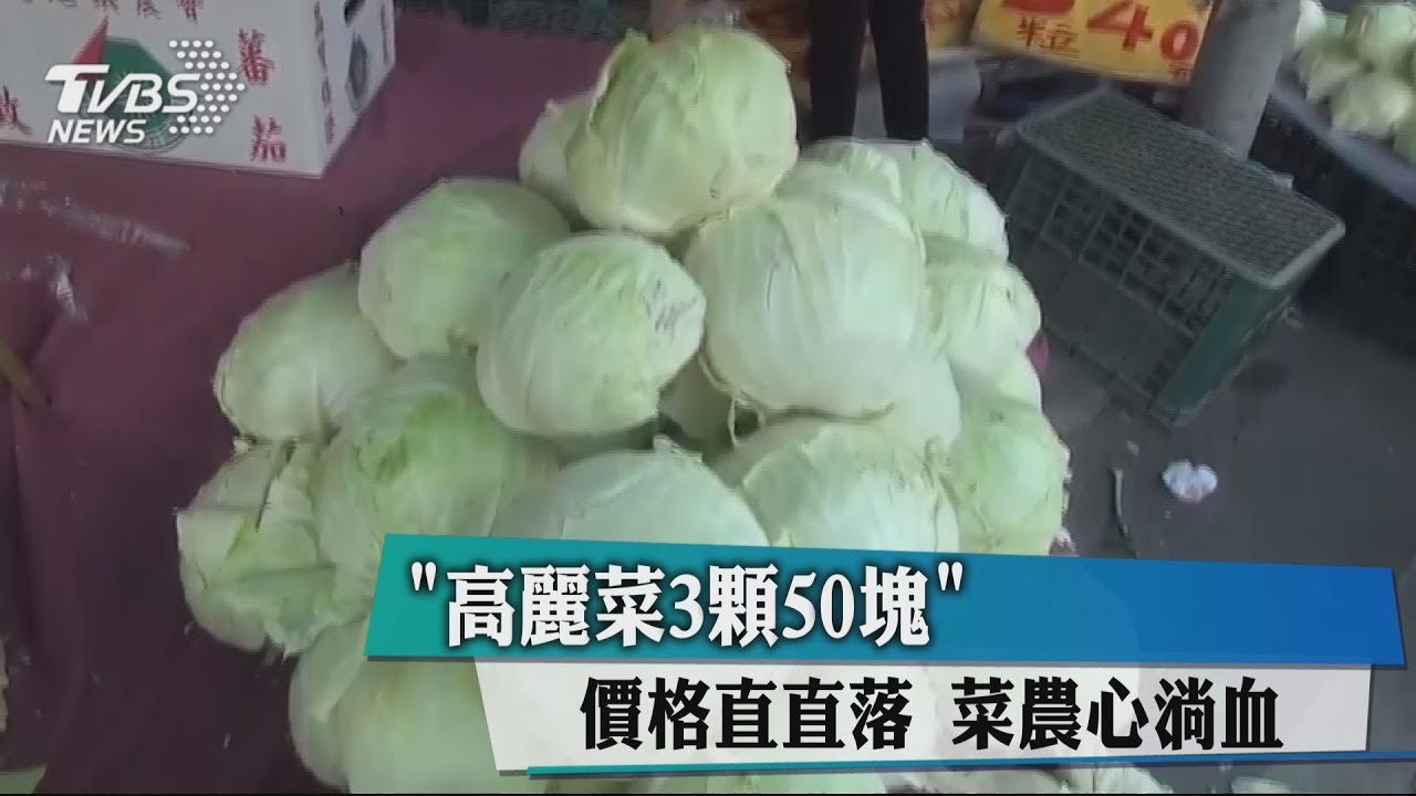 「高麗菜3顆50元」價格直直落 菜農心淌血