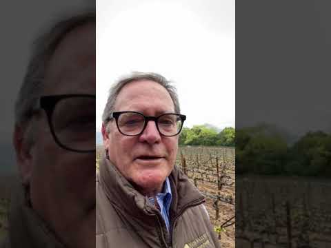 Opus One - Blending, Chapter 1