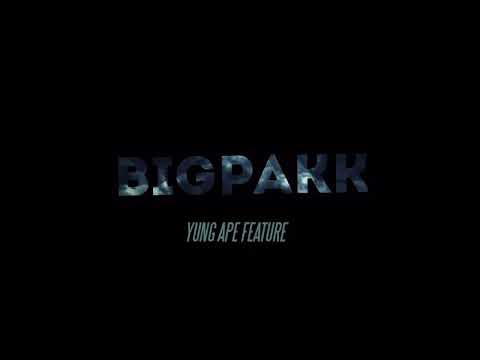 BigPakk Jay - Yung Ape 🦍 ft Qua4 x Liljd (Official Video)