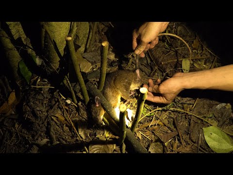 A desperate cry in the night — The victim is trapped | LIVING OFF THE GRID | Episode 65