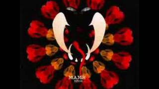 MAMBA NEGRA - Amanecer