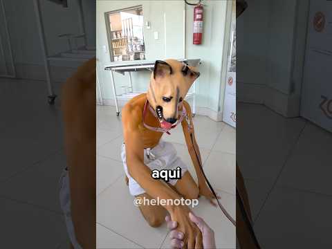 Tentei castrar meu cachorro!!🐶😂