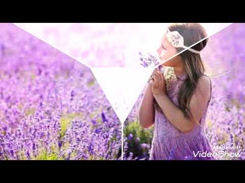 Beauty of Flowers at GCUF (Beauty of Nature) Fotography By Bushra Batool.