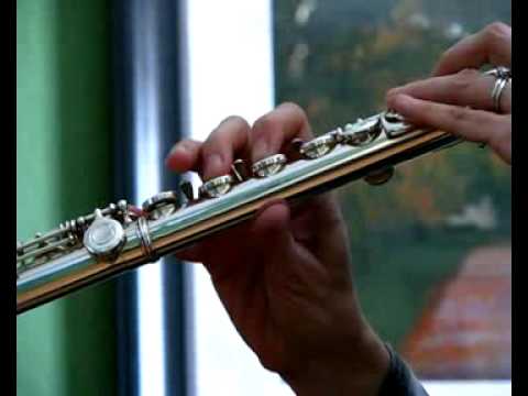 Yamaha 471 Allegro Flute - Used Flutes for Sale