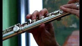 Video thumbnail for Yamaha 471 Allegro Flute - Used Flutes for Sale by Flutastic!