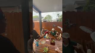 Fall Gatherings, Big Reactions | Backyard Hibachi Party #Shorts