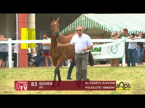 Show AQPS Ouest 2018 : Lot 83 - GOVEN