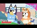 Bingo Vil Ikke Leke Bluey Disney Junior Norge