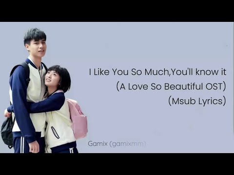 I Like You So Much, You’ll Know It (Msub Music Video)