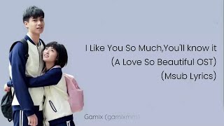 Download lagu I Like You So Much, You’ll Know It (Msub ) mp3 Download lagu I Like You So Much, You’ll Know It (Msub ) mp3