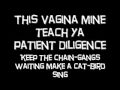 puscifer-vagina mine lyrics 