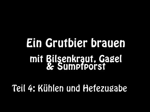 Teil 4 Kühlen & Hefezugabe - Ein Grutbier brauen mit Bilsenkraut Gagel Sumpfporst