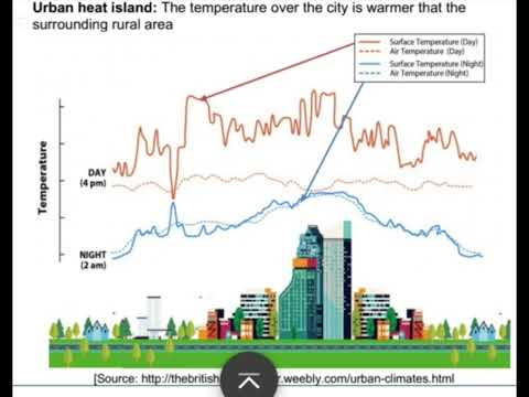 Micro Climates | Gr 12 Geography | Climatology