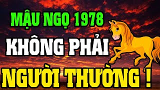 Tuổi Mậu Ngọ 1978 Vì Căn Nghiệp, Nhưng Trời Định Đại Phúc Khi Xuất Hiện 8 Dấu Hiệu Này