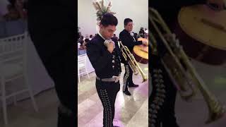 Musica Urge Vicente fernandez-con Mariachi Mexico Vive san luis Potosí slp (2020)