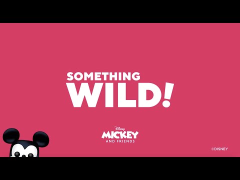 How to Play Something Wild!