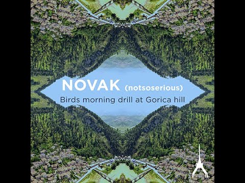 NOVAK (notsoserious) -  Birds morning drill at Gorica hill