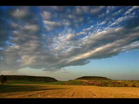 Sylvio César - Friends