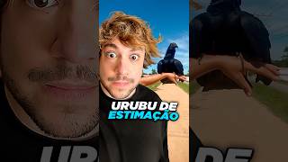 onde adota, gente? @marcelo_e_um_cafe #livedobrino #humor #MundinhoBrino