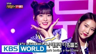 KBS WORLD TV