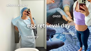 IVF EGG RETRIEVAL DAY | what to expect, extreme bloating, OHSS, recovery time, do