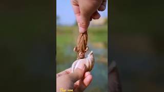 cute baby dance#cutebaby #viral#shorts #cute #trending #shorts #trending#cocomelon #nursery