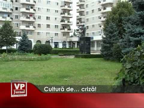 Cultură de… criză!