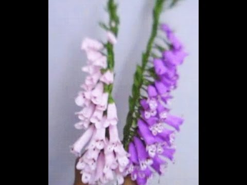 How to make Paper Flower Foxgloves / Digitalis (Flower # 50)
