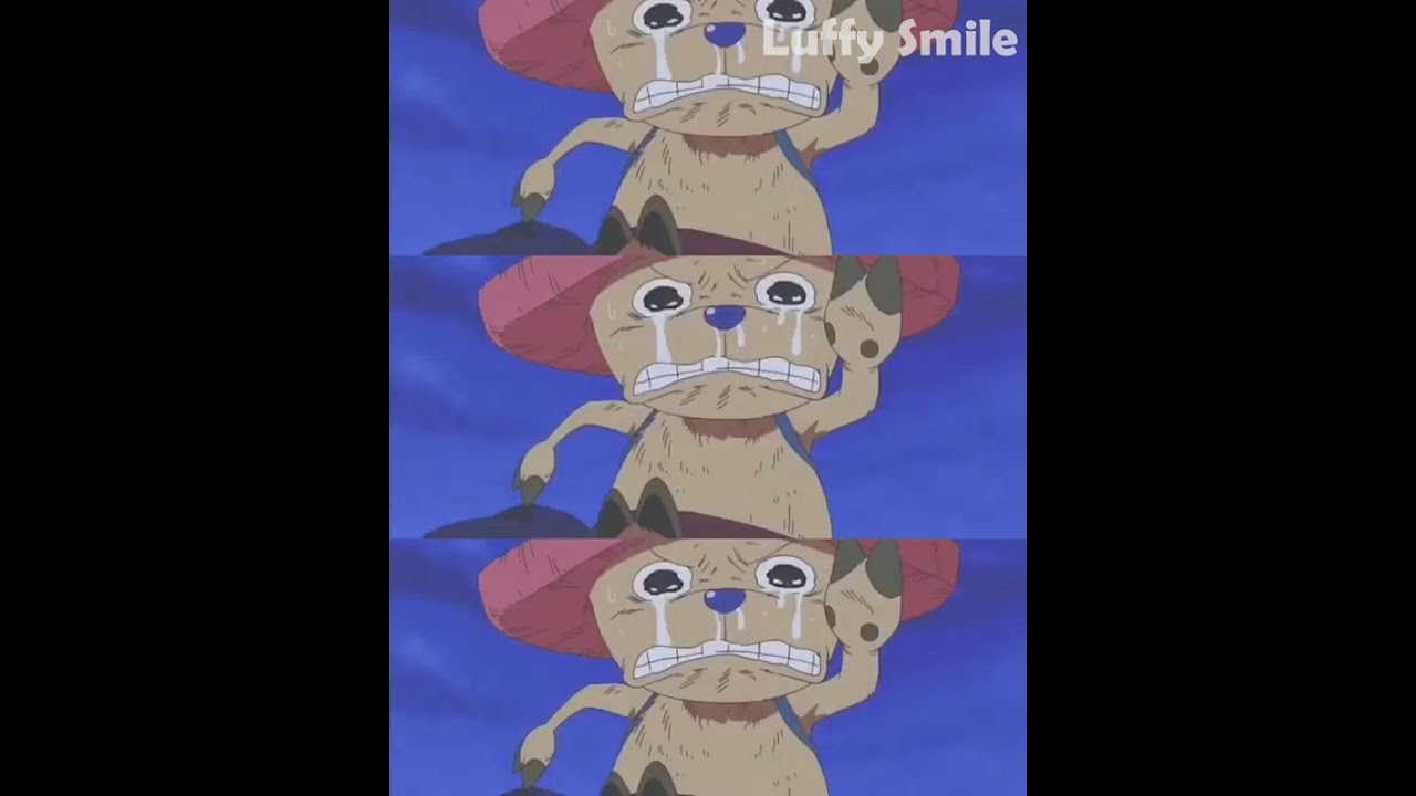 luffy crying