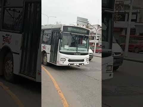Empresa San Pedro de Colalao coche 77,"El Nuevo", Tucumán