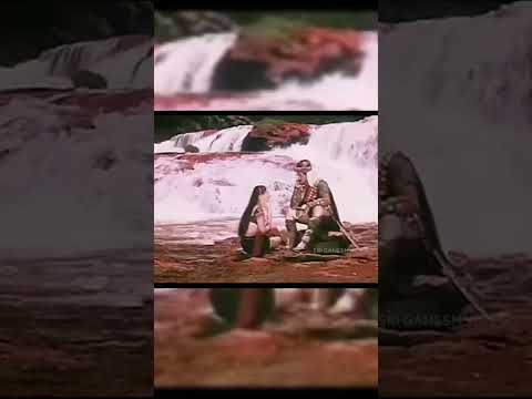 I Wanna See My Darling Song Lyrics in Kannada H2O ... #lyrical #songlyrics #song #bbklyrics #shorts