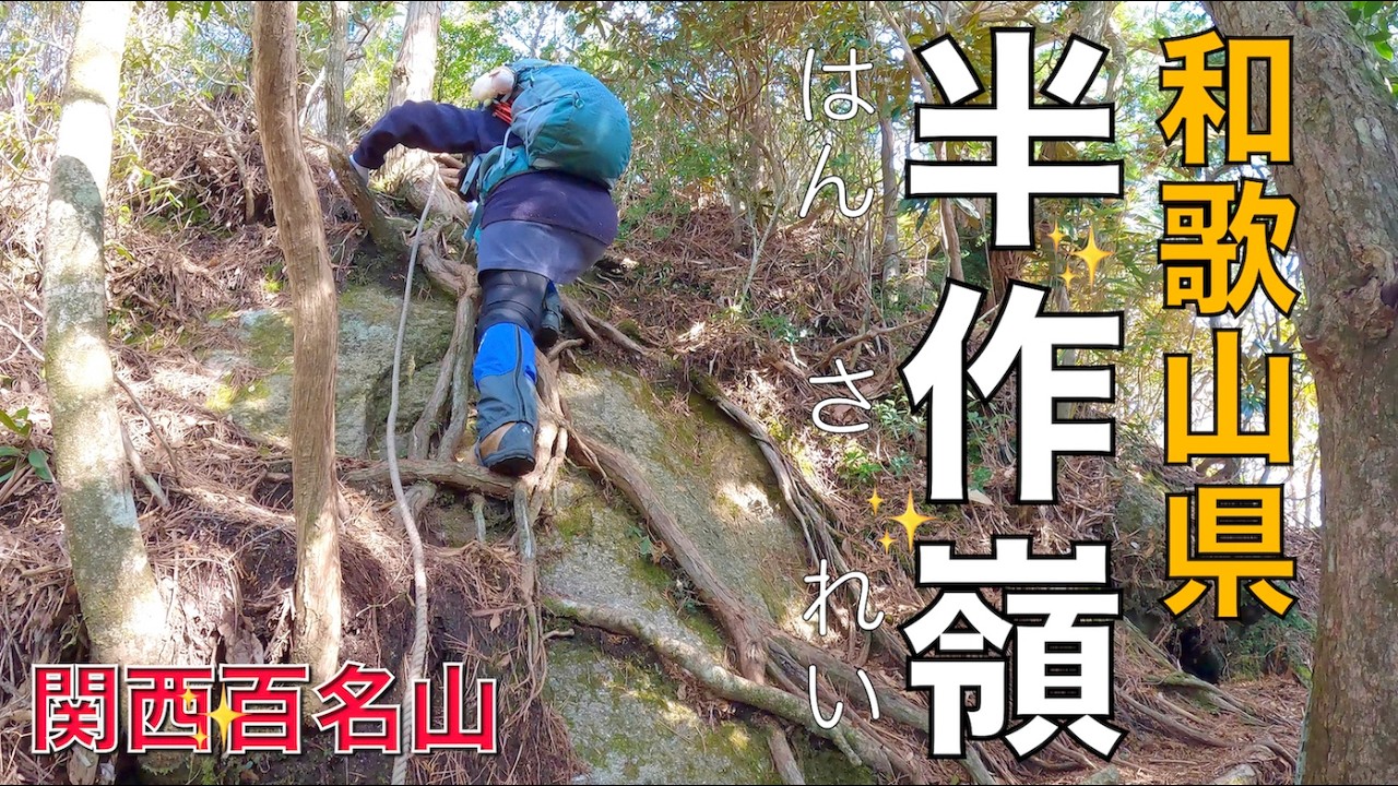 【和歌山県田辺市】半作嶺✨前半穏やかで後半は険しい道になって雰囲気がガラリと変わる道でした（関西百名山）