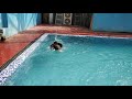 Swimming