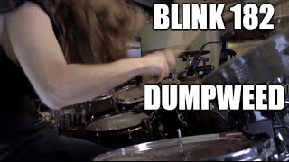 Blink 182 - "Dumpweed" - DRUMS