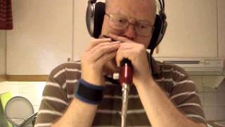 Nine Below Zero - Harmonica Blues - Sonny Boy Williamson II Cover