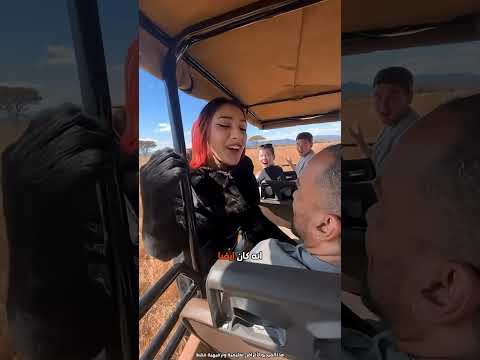 من أسد مفترس إلى فتاة بريئة… التحول صادم! 🤯✨