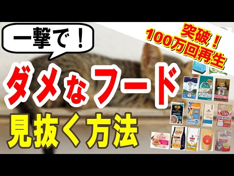 穀物不使用のキャットフード:量が重要です!