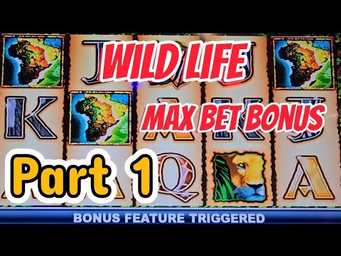 $25 Max Betting Wild Life Part 1