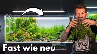 Pflanzen-Tausch im 100P Hakkai Stone River Aquarium!