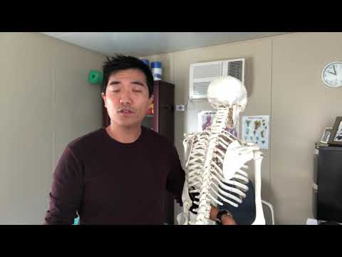 The Best Stretches to Relieve Rib Pain from Non-Stop Coughing