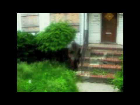 Came Up Fast By Lb-Dub Featuring Yung-Pretty