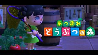 【あつまれどうぶつの森】夏～～＾＾【パレプロ/常磐カナメ】