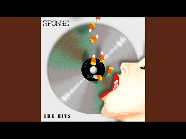 L'arte musicale dei Sponge