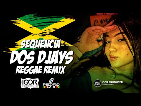SEQUÊNCIA DOS DJS - Reggae Funk Remix @igorproducer & @djpedromixofc