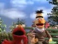 Sesame Street Elmo Bert Pigeons