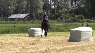 Fun things to do with silage hay!