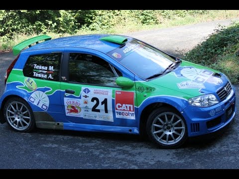 Rally Città di Torino 2015  - Camera Car (Tessa - Tessa) Punto S.1600