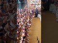 Chenda Melam Poornathrayeesa Temple Vrishchikolsavam 2024 Melam Ulsavam Thrippunnithura